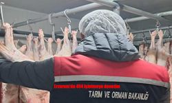 Erzurum’da Gıda Güvenliği Alarmı: 494 İşletme Mercek Altında