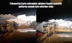 Tekman’da Yoğun Kar Yağışı Ulaşımı Aksattı