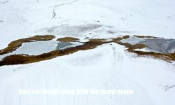 Kars'taki tescilli Lavaş Gölü'nün yüzeyi dondu