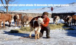 Kars'ta besiciler sıfırın altında 10 derecede zorlu mesai yapıyor