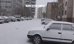 Bitlis'te kar yağışı