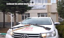 Erzincan’da yaban keçisi vuran 3 şahıs yakalandı