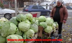Donun vurduğu Malatya’da çiftçi çareyi alternatif üretimde buldu
