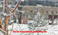 Göle’de termometreler eksi 16’yı gösterdi: Doğa kırağıyla kaplandı