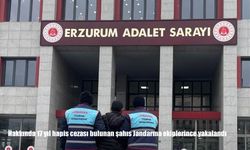 Hakkında 17 yıl hapis cezası bulunan şahıs Jandarma ekiplerince yakalandı