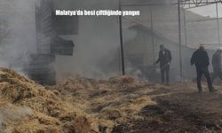 Malatya'da besi çiftliğinde yangın