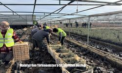 Malatya'dan Türkmenistan'a 50 bin fidan desteği