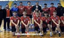 Aşkale voleybolda il ikincisi oldu