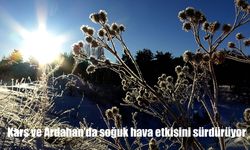 Kars ve Ardahan'da soğuk hava etkisini sürdürüyor