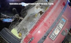 Kontrolden çıkan otomobil kayısı bahçesine uçtu: 1 yaralı