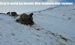 Erciş'te asırlık kış mesaisi: Otlar kızaklarla köye taşınıyor