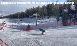Sarıkamış'ta 'Uluslararası FIS Sarıkamış CUP' heyecanı sürüyor