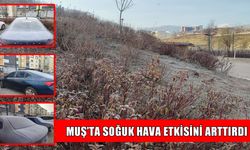 Muş’ta araç camları buz tuttu, çimler kırağıyla kaplandı