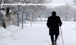 Erzincan beyaza büründü: Geçitlerde karla mücadele seferberliği