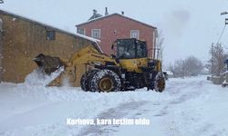 Karlıova, kara teslim oldu