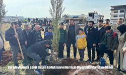 Sur olaylarında şehit düşen kolluk kuvvetleri için Diyarbakır’da fidan dikildi