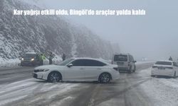 Kar yağışı etkili oldu, Bingöl'de araçlar yolda kaldı