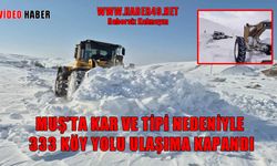 Muş’ta beyaz esaret: 333 yerleşim birimiyle bağlantı kesildi