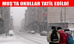 Muş'ta eğitime kar engeli: Valilikten tatil açıklaması