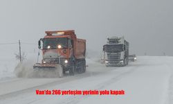 Van'da 266 yerleşim yerinin yolu kapalı