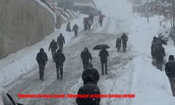 Yüksekova'da beyaz esaret: Vatandaşlar araçlarını bırakıp yürüdü