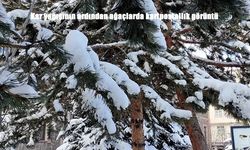 Ardahan’da kar sonrası kartpostallık manzaralar oluştu