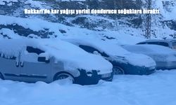 Hakkari buz kesti: Buz sarkıtları 1 metreyi buldu