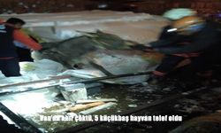 Van’da Kar Felaketi: Ahır Çöktü, 5 Küçükbaş Hayvan Telef Oldu