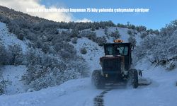 Bingöl’de kardan dolayı kapanan 75 köy yolunda çalışmalar sürüyor
