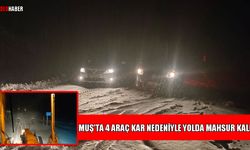 Kar aniden bastırdı: Muş-Mutki yolunda 4 araç mahsur kaldı
