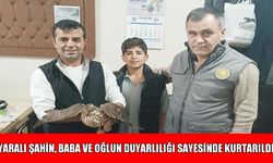 Muş’ta duyarlı baba ve oğul, buldukları yaralı şahini yetkililere teslim etti
