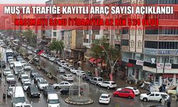 Muş trafiğindeki araç sayısı açıklandı: Hangi araçtan ne kadar var?