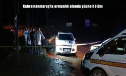 Kahramanmaraş’ta 20 yaşındaki genç kanlar içinde ölü bulundu