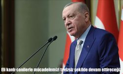 Cumhurbaşkanı Erdoğan: Eli kanlı canilerle mücadelemizi tavizsiz şekilde devam ettireceğiz