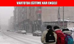 Muş’ta kar esareti: Eğitime ara verilen ilçe sayısı 3’e yükseldi