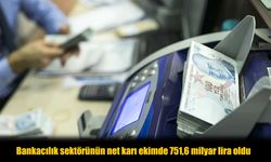 Türk Bankacılık Sektörü Ekim’de 751,6 Milyar Lira Kar Elde Etti