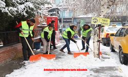 Ardahan Beyaza Büründü: Belediye Karla Mücadelede Hızlı Müdahale Etti