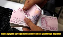 Aralık Ayı Sosyal Yardım Ödemeleri Başladı: Kimler Ne Kadar Alacak?