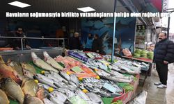 Havaların soğuması balık tezgâhlarını hareketlendirdi