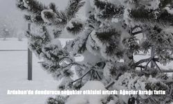 Ardahan’da gece eksi 17,9 dereceyi gören soğuk hava hayatı durma noktasına getirdi