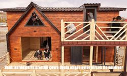 Vanlı kardeşler Erciş’ten Türkiye’ye çevre dostu ahşap ev gönderiyor