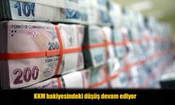 Kur Korumalı Mevduatlarda Hafta Hafta Düşüş Devam Ediyor