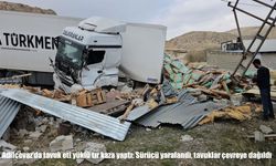 Adilcevaz’da tavuk yüklü tır devrildi: Sürücü yaralandı