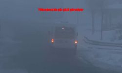 Yüksekova’da Yoğun Sis Hayatı Felç Etti