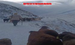 Ağrı’da Kar ve Tipi Hayatı Felç Etti: Köy Yolları Kapandı, Sürü Tipiye Yakalandı