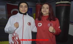 Bitlisli Korkmaz Kardeşlerden Dünya ve Avrupa Arenasında Çifte Zafer