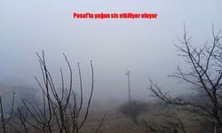 Posof’ta Yoğun Sis İlçeyi Adeta Görünmez Kıldı