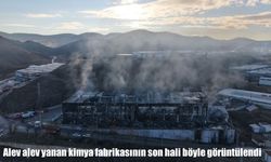 Alev alev yanan kimya fabrikasından geriye enkaz kaldı