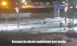 Erzurum Karayazı’da akşam saatlerinde kurt tedirginliği