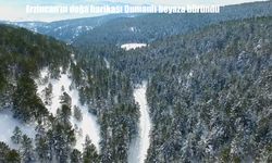Erzincan’ın doğa harikası Dumanlı beyaza büründü